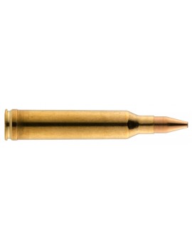 Munition grande chasse RWS...