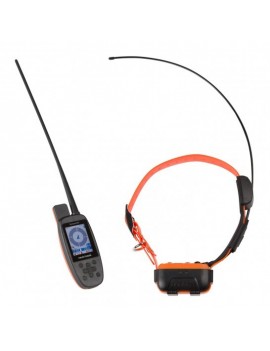 Antenne collier pour...