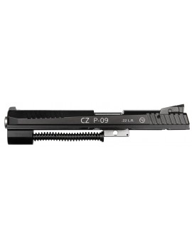Conversion CZ P-09 KADET...