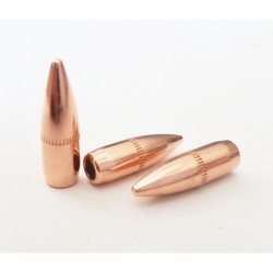 100 Ogives Partizan .224...