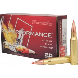 40 cartouches hornady...
